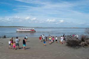 adventure harbor tours morris island